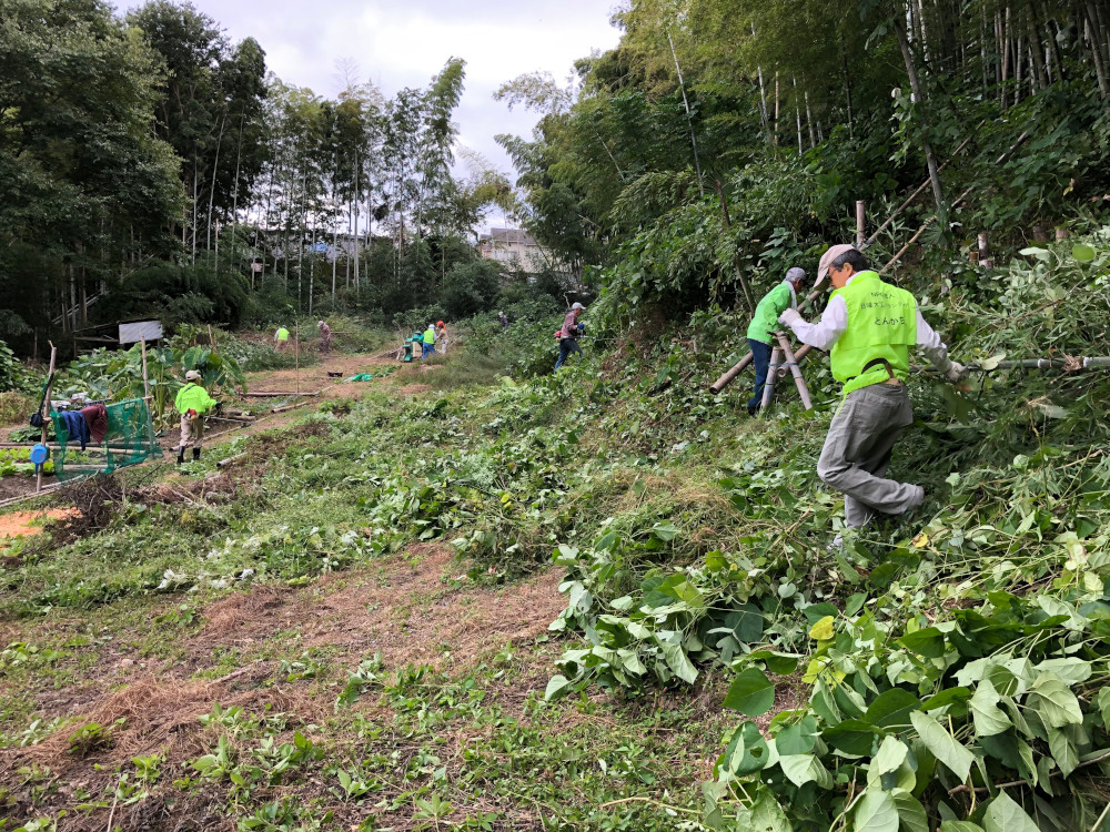 八幡市正法寺裏山竹林の保全整備を行いました