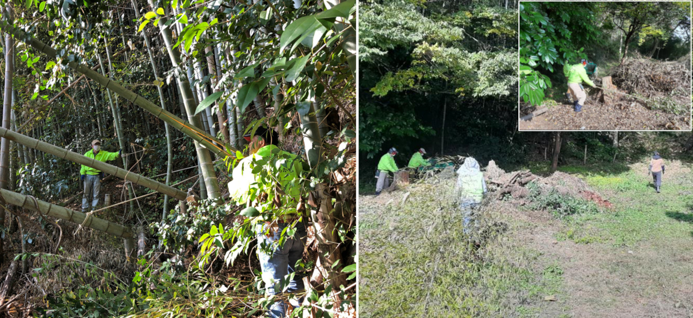 正法寺裏山竹林の保全整備と秋の実りを収穫しましたa